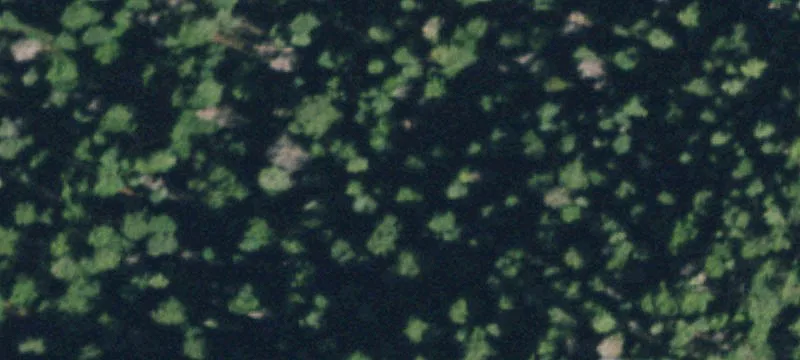 1241 Catspaw Rd