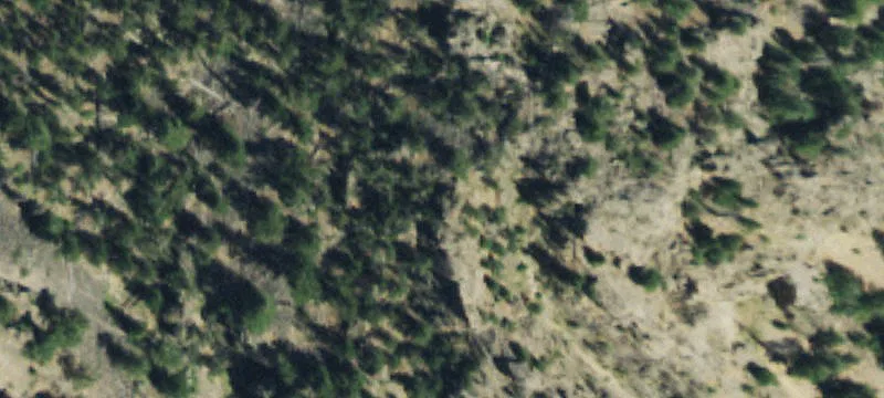 Creede, CO 81130