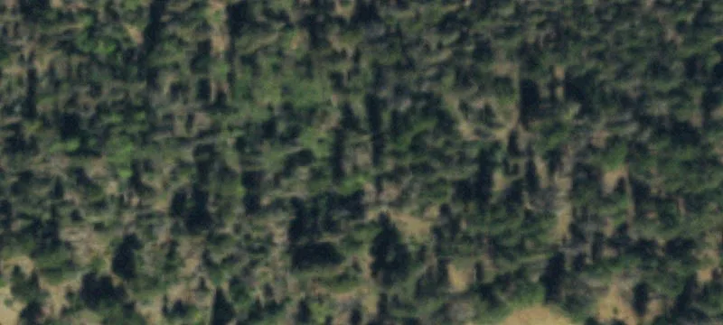Villa Grove, CO 81155