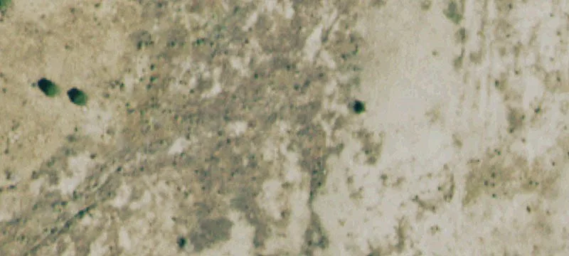 Trinidad, CO 81082