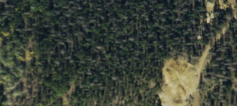 Villa Grove, CO 81155