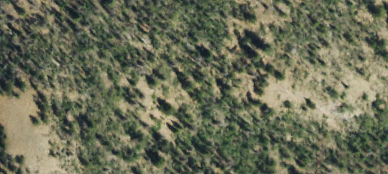 Creede, CO 81130