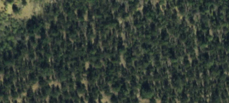 Villa Grove, CO 81155