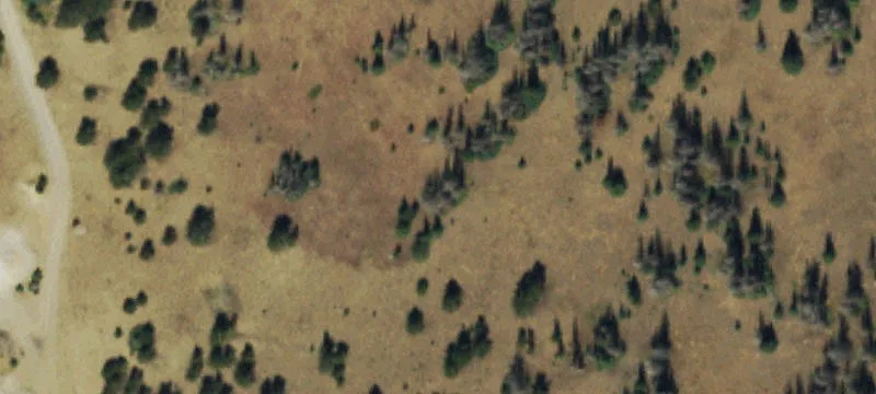 Villa Grove, CO 81155
