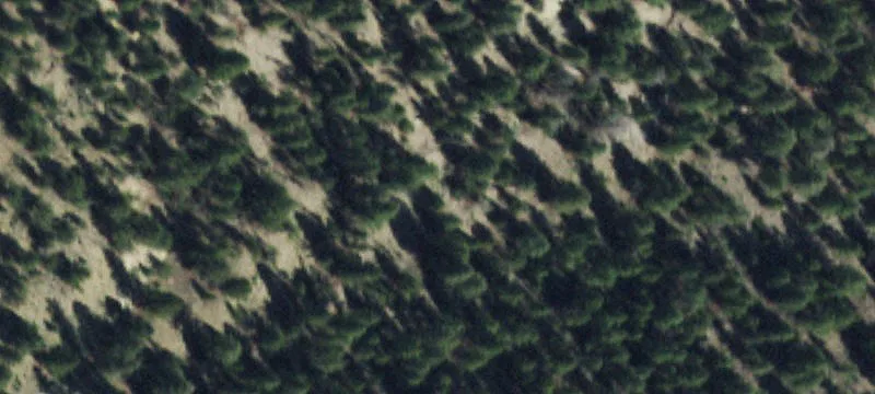 Creede, CO 81130
