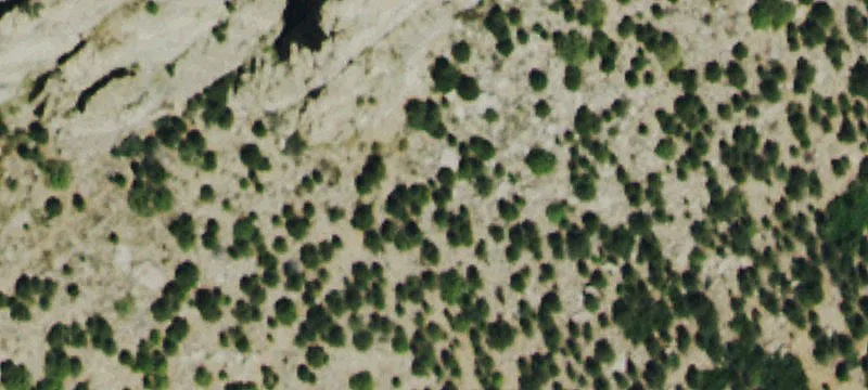 Whitewater, CO 81527