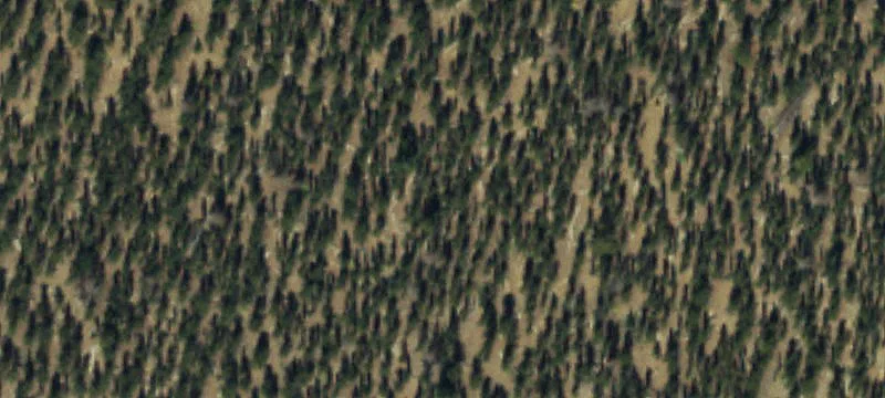 Villa Grove, CO 81155
