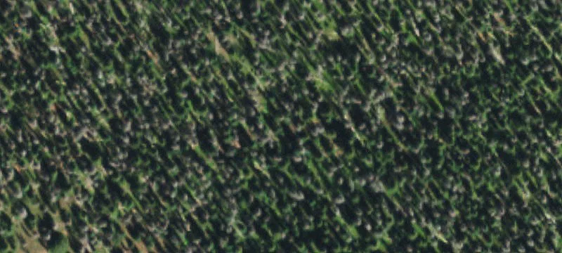 Del Norte, CO 81132