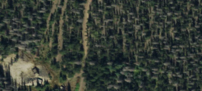 Villa Grove, CO 81155