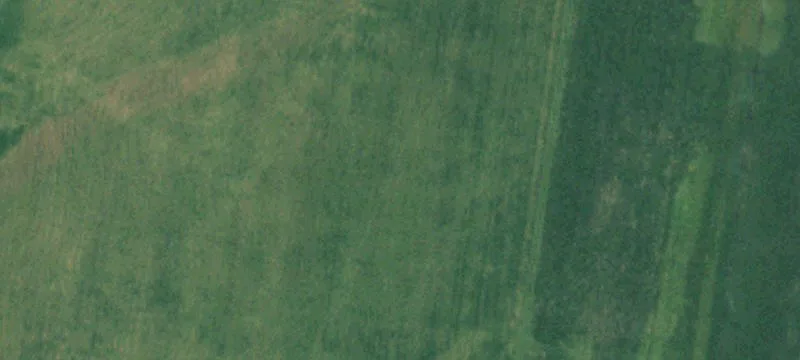 9981 Hwy 550