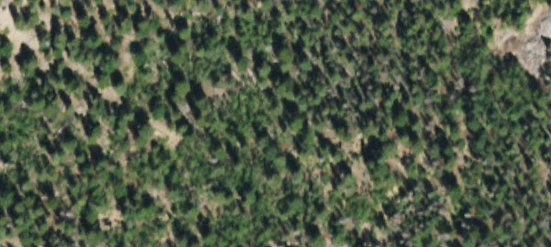 Del Norte, CO 81132
