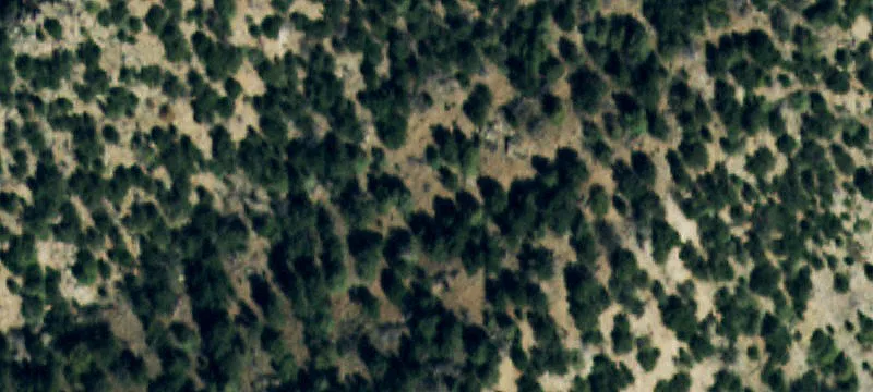 Crestone, CO 81131