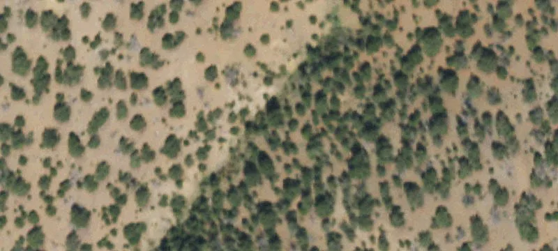 Del Norte, CO 81132