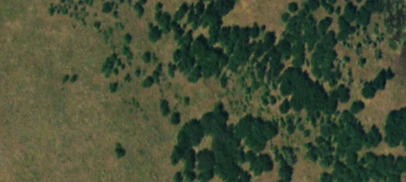 Placerville, CO 81430