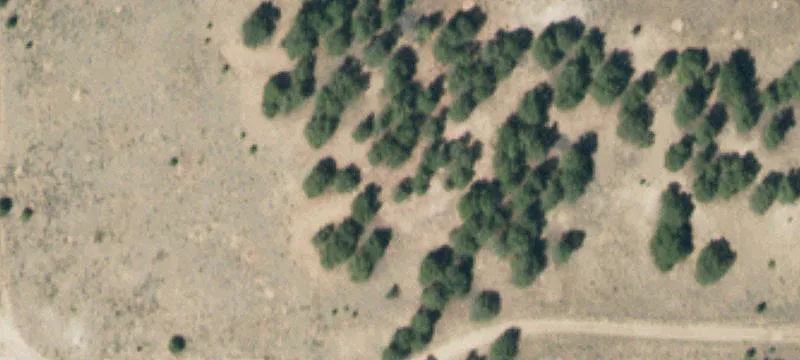 La Veta, CO 81055