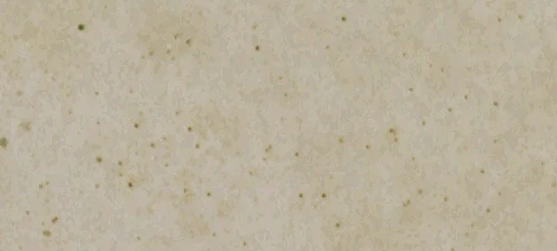 La Veta, CO 81055