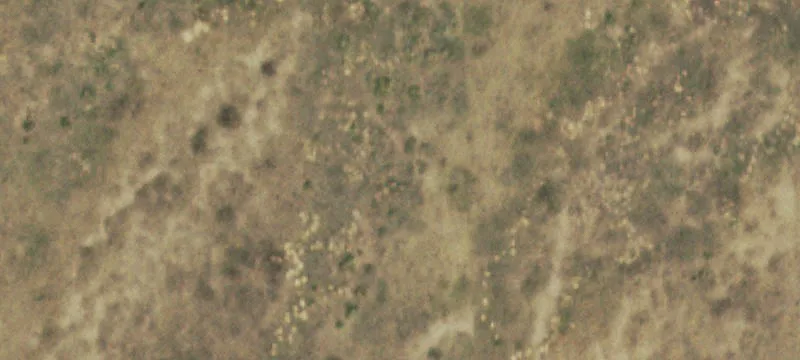 Campo, CO 81029