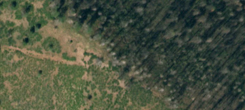 La Veta, CO 81055