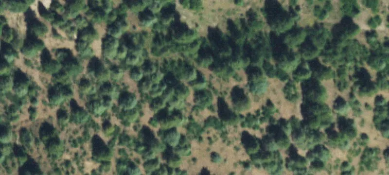 4801 County Rd 600