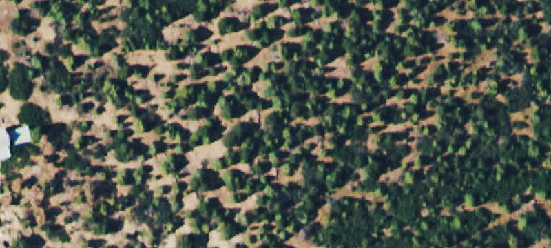 Norwood, CO 81423