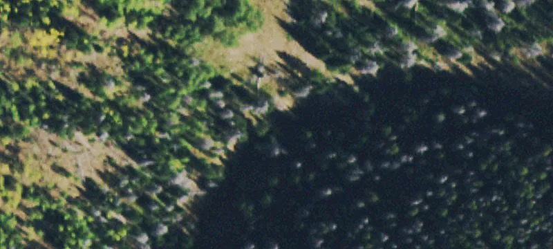 Clark, CO 80428