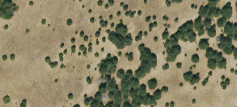 La Veta, CO 81055