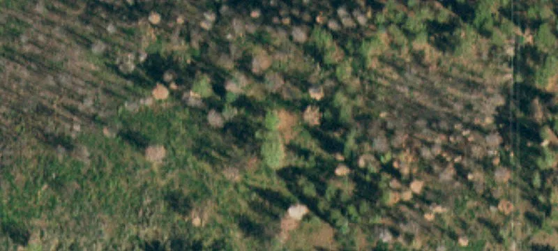 La Veta, CO 81055