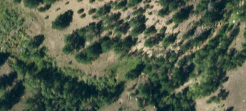 La Veta, CO 81055
