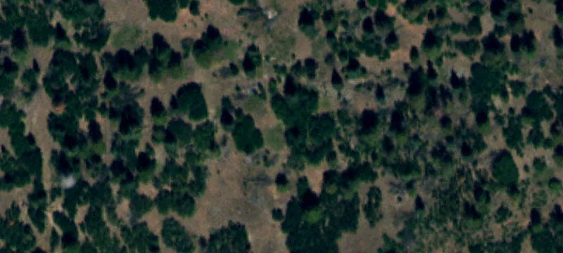800 County Rd 193