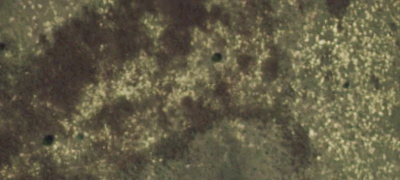 Idalia, CO 80735