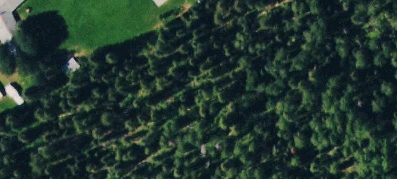 27758 Hwy 145