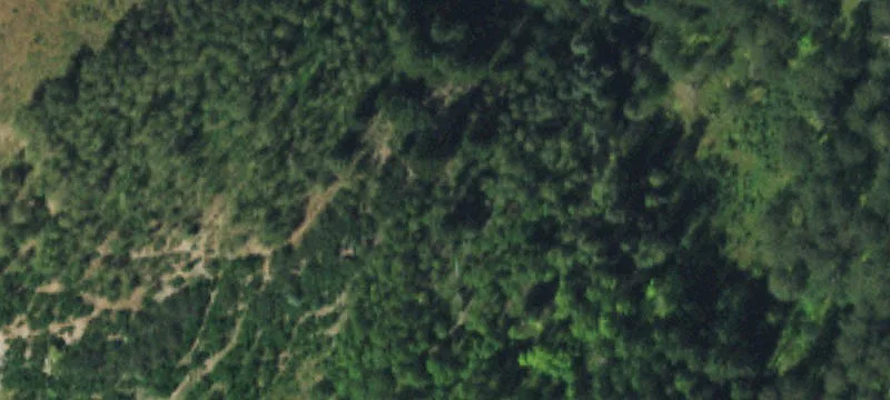 4092 Last Dollar Rd