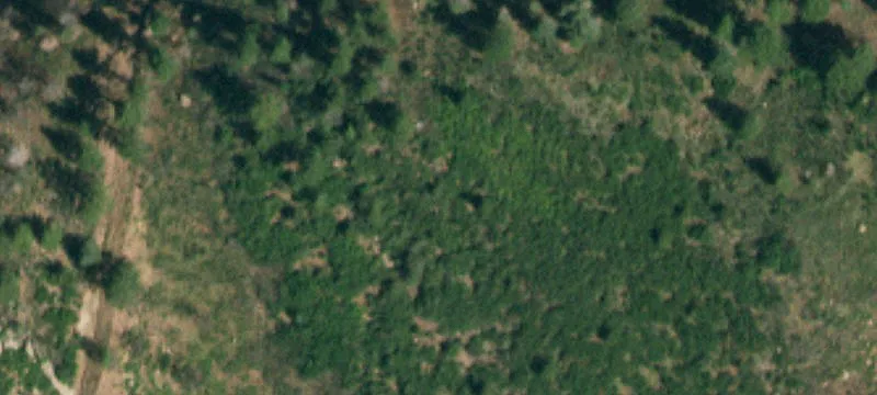 La Veta, CO 81055
