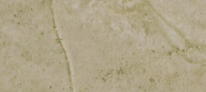 Rye, CO 81069