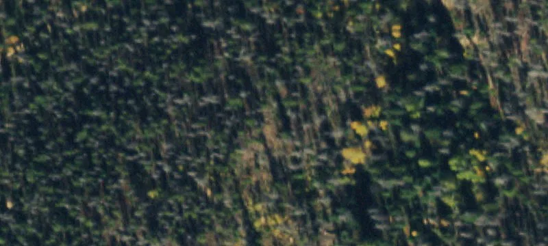 Parshall, CO 80468
