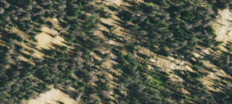 Del Norte, CO 81132