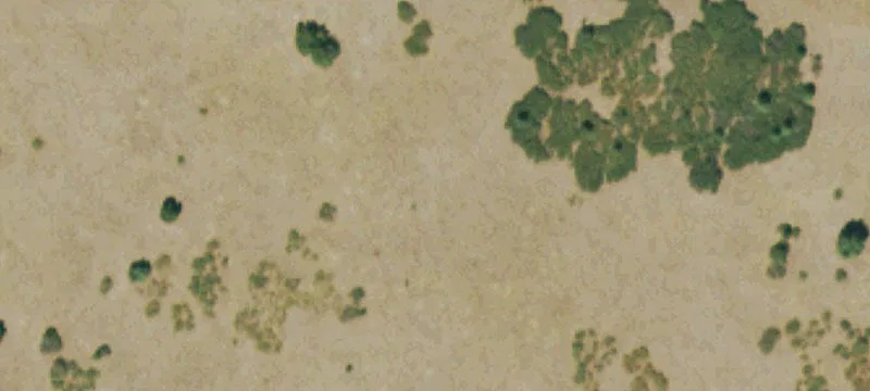 Walsenburg, CO 81089