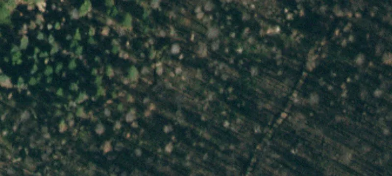 La Veta, CO 81055