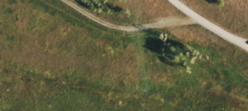 91 Ptarmigan Way