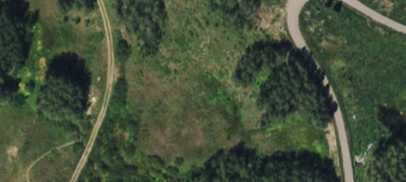 Placerville, CO 81430