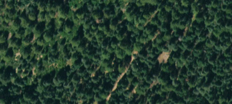 La Veta, CO 81055