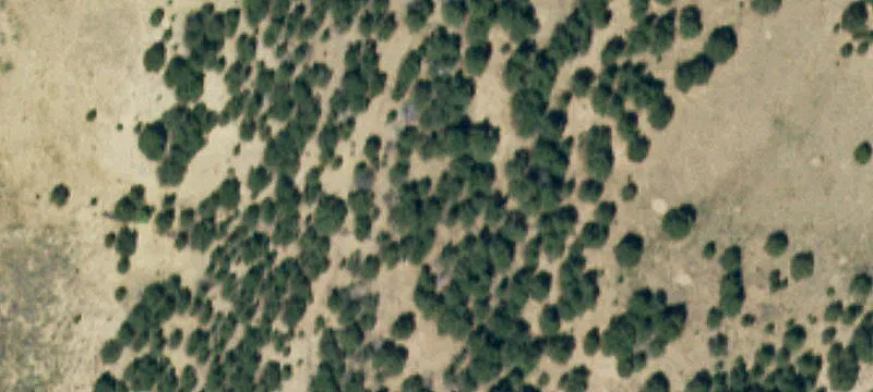 La Veta, CO 81055