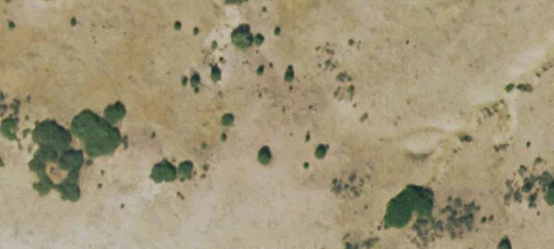Rye, CO 81069