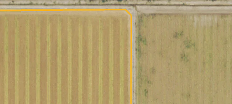 Montrose, CO 81403