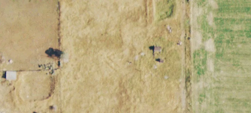 33551 Rd M M