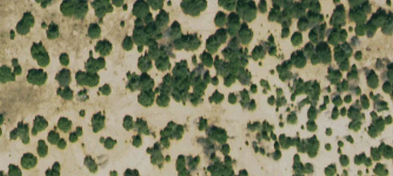 Walsenburg, CO 81089