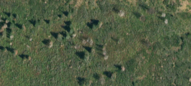La Veta, CO 81055
