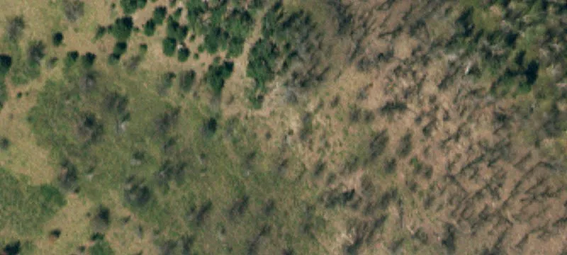 La Veta, CO 81055