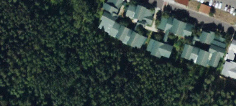 890 Black Beard Rd