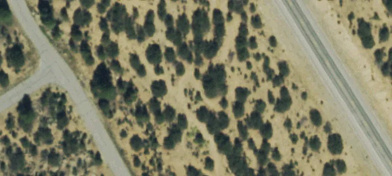31196 Kodiak Ct